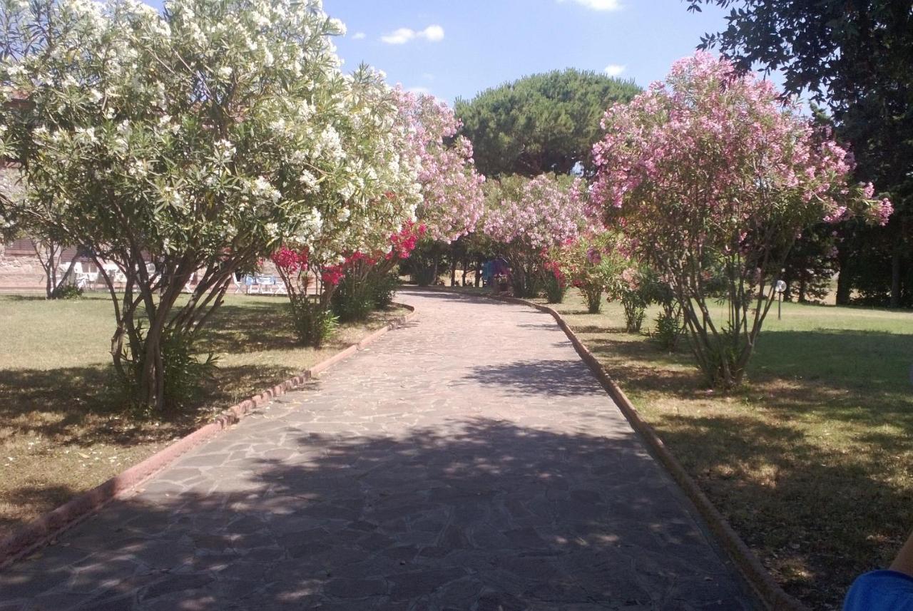 Maison Antoinette San Vincenzo Bagian luar foto